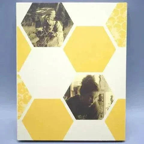 Film Movement - 20,000 Species of Bees Blu-Ray cover art with slipcover.