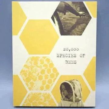 Film Movement - 20,000 Species of Bees Blu-Ray cover art with slipcover.