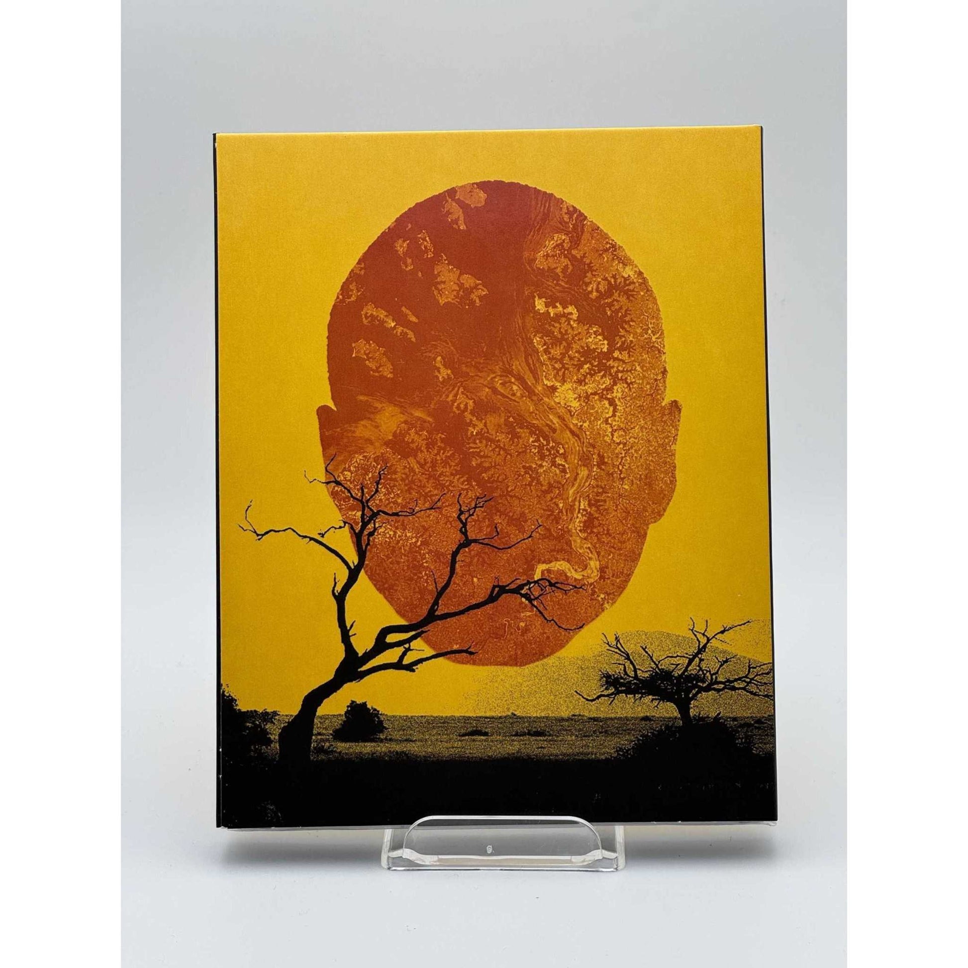 Shudder: Saloum Blu-Ray with Slipcover back cover live picture