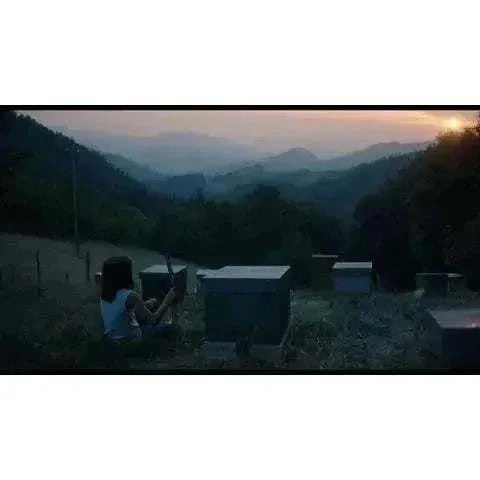 Film Movement - 20,000 Species of Bees Blu-Ray, scenic Basque countryside at sunset