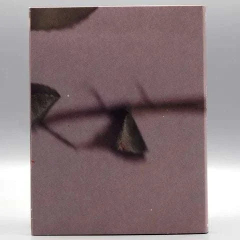 Young & Beautiful Blu-Ray slipcover featuring abstract close-up design with muted colors.